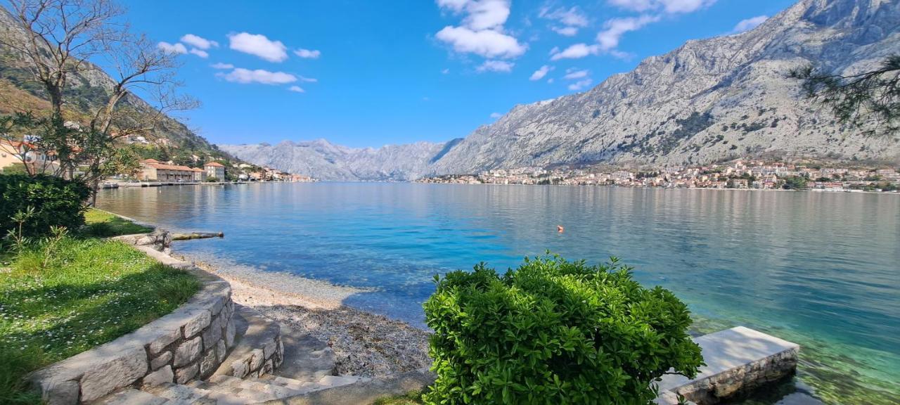 Apartment Vujosevic D&D Kotor Oda fotoğraf