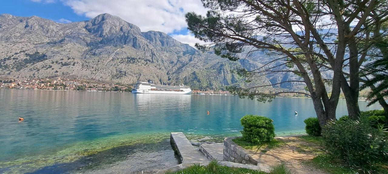 Apartment Vujosevic D&D Kotor Oda fotoğraf